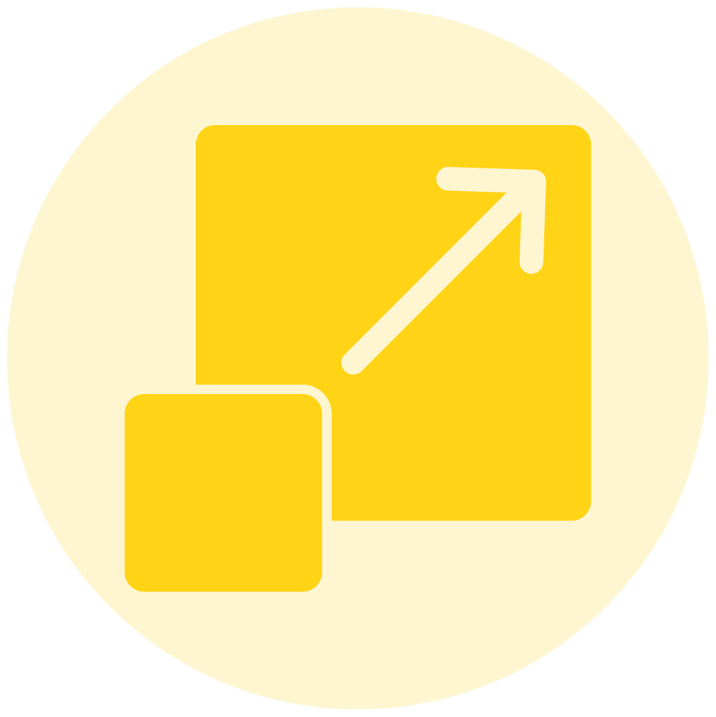 Ara Pay - Focus on Growth - Scalability Icon